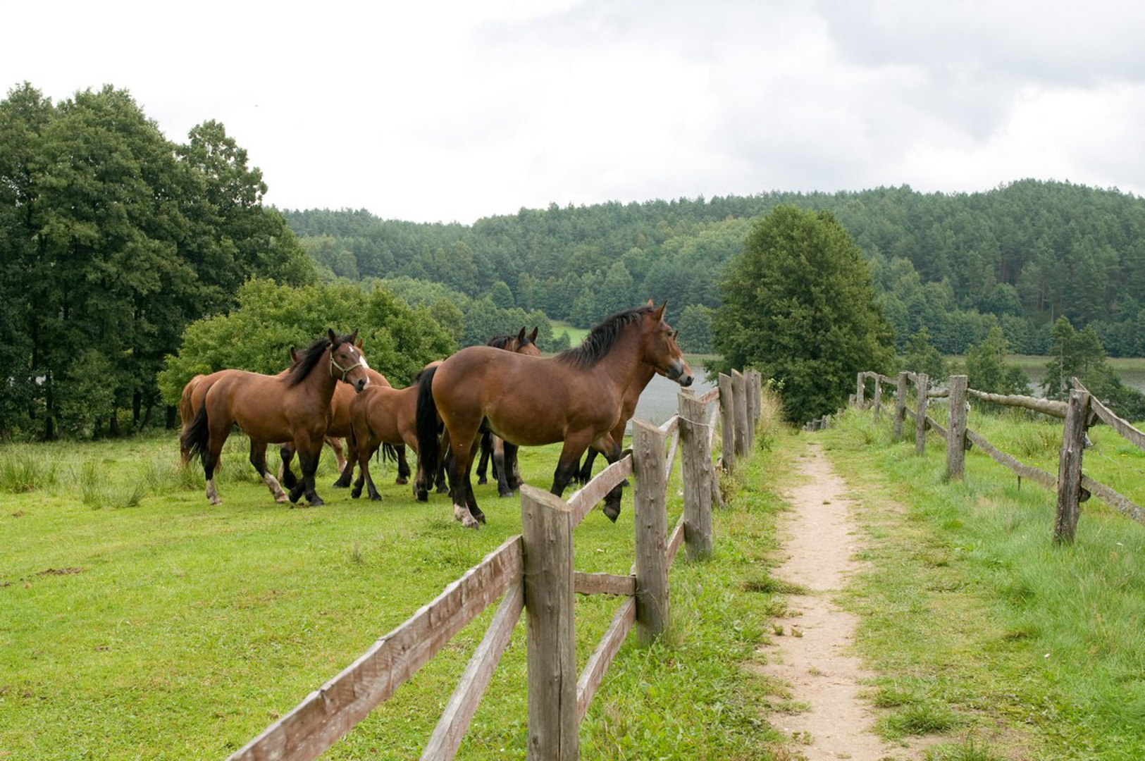 srebrny-klon-pensjonat-kaszuby-salon-3